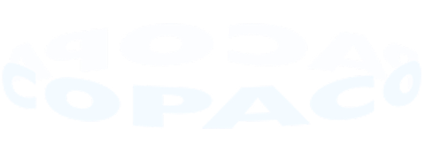 Copaco Nederland B.V. logo